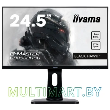 Монитор Iiyama ProLite GB2530HSU-B1